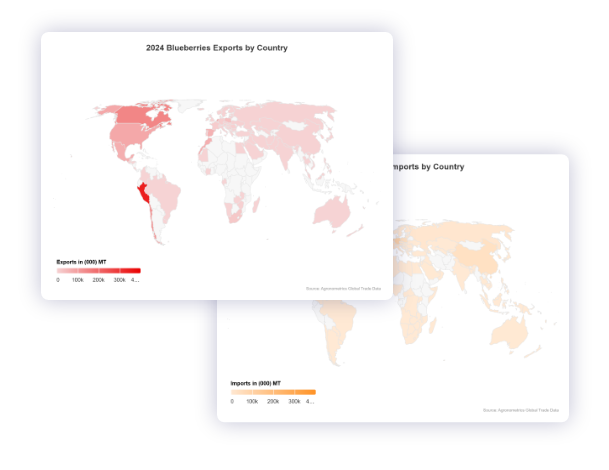 Global Market Coverage