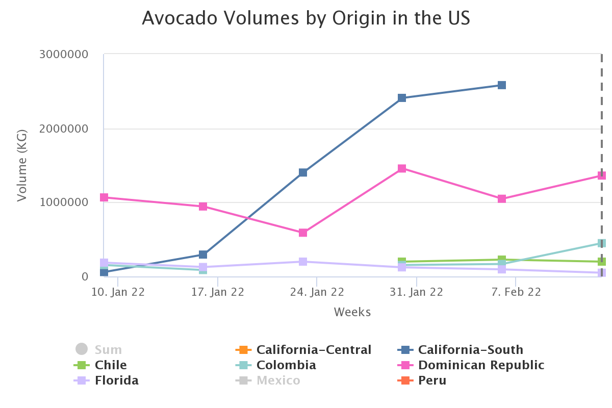 avocado volumes by origi 4