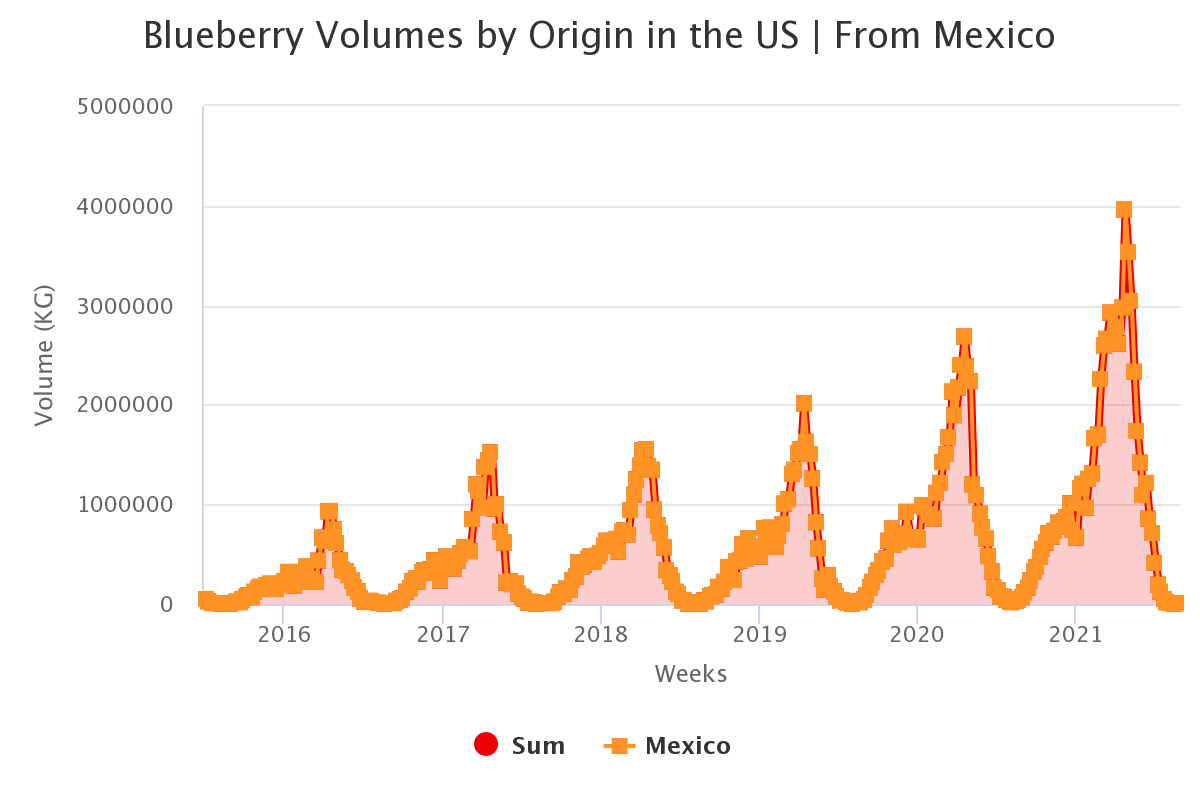 blueberry volumes by ori week