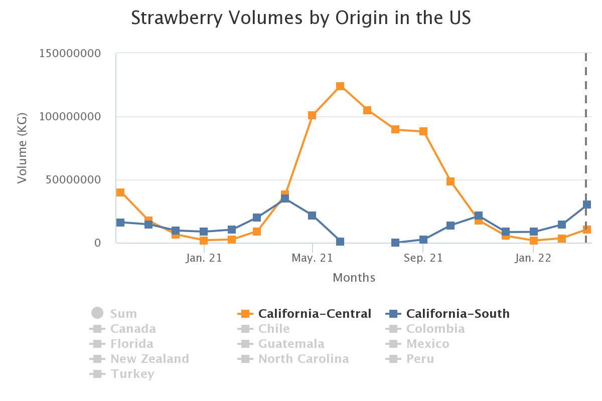 strawberry volumes by or 15
