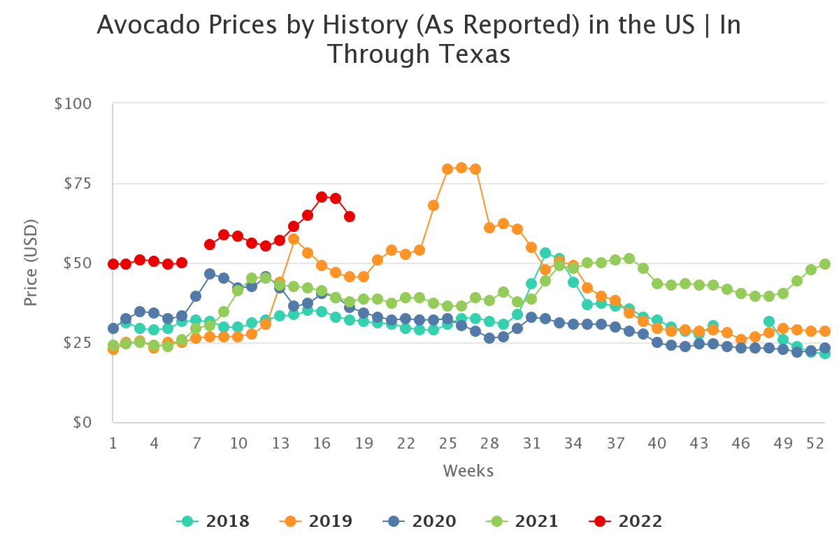 avocado prices by histor 13