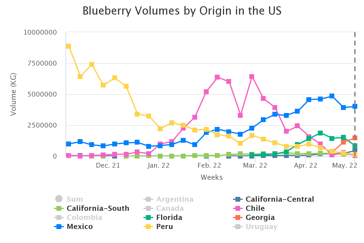 blueberry volumes by ori 15
