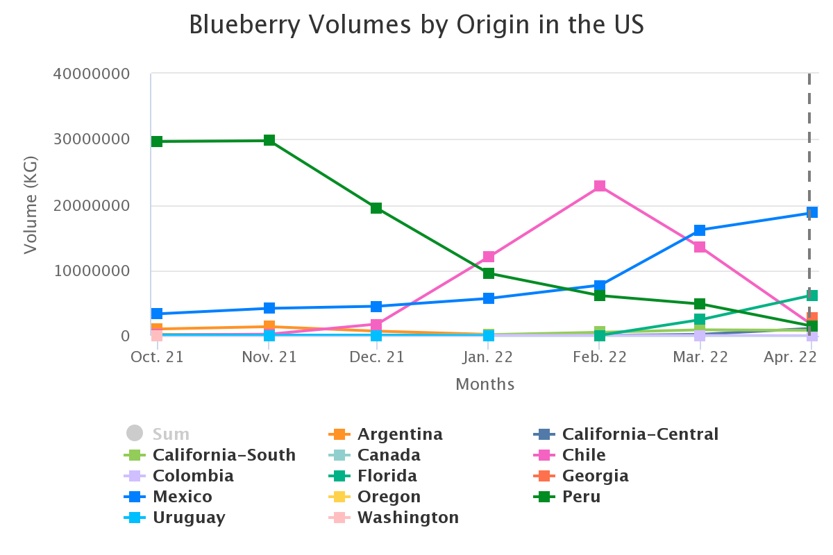 blueberry volumes by ori 16