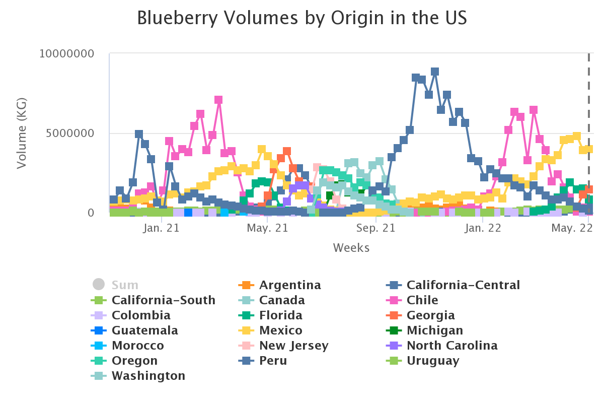 blueberry volumes by ori 18
