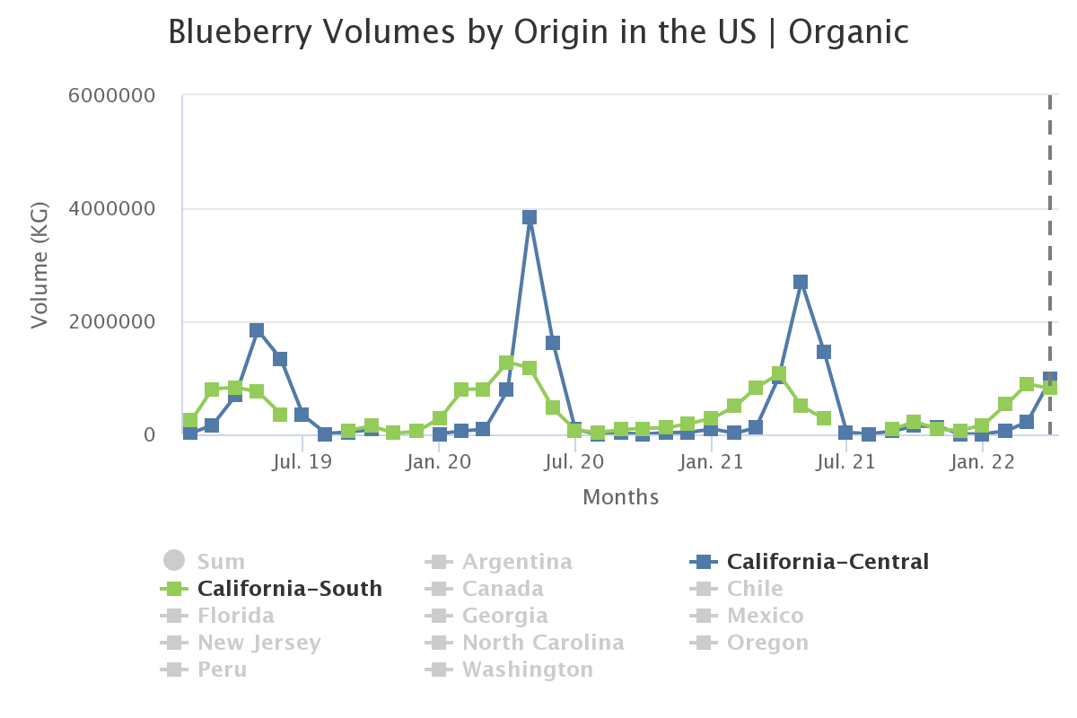 blueberry volumes by ori 20