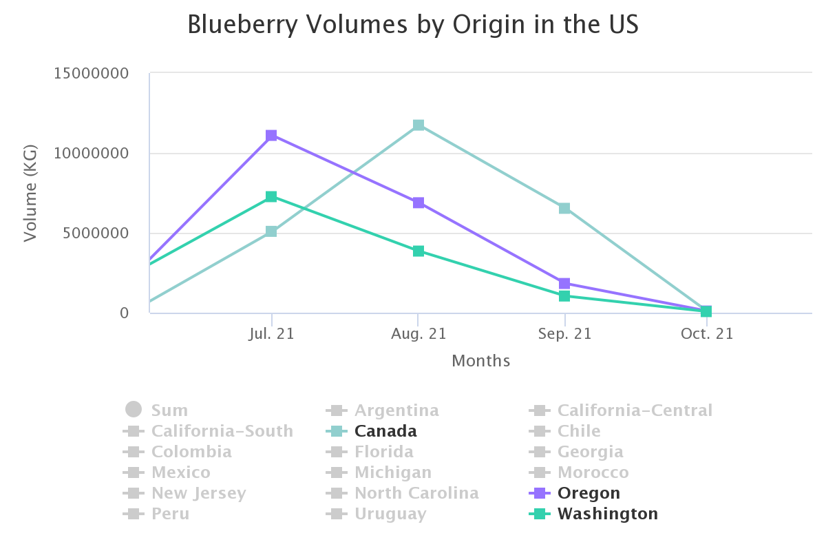 blueberry volumes by ori 21