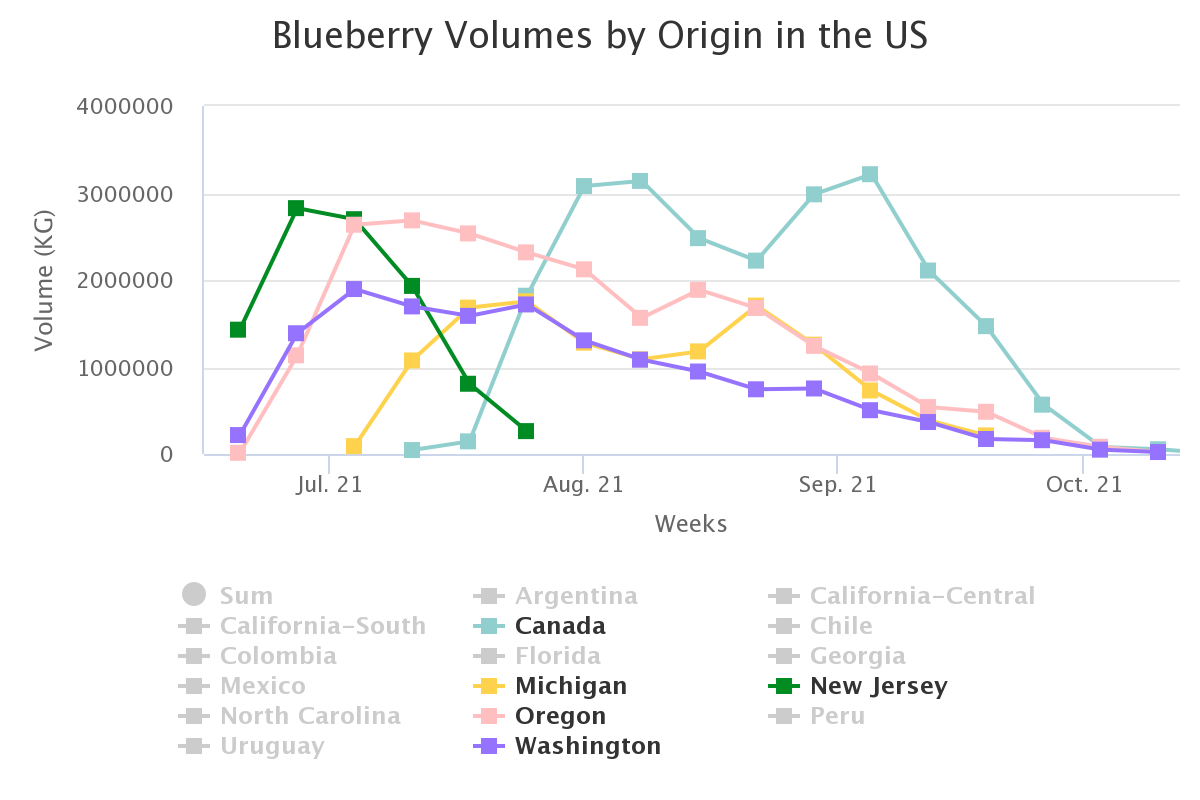 blueberry volumes by ori 22
