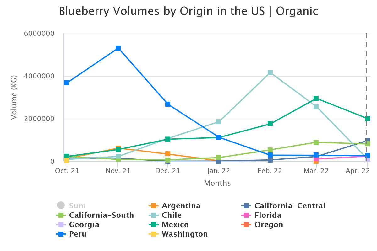 blueberry volumes by ori 23