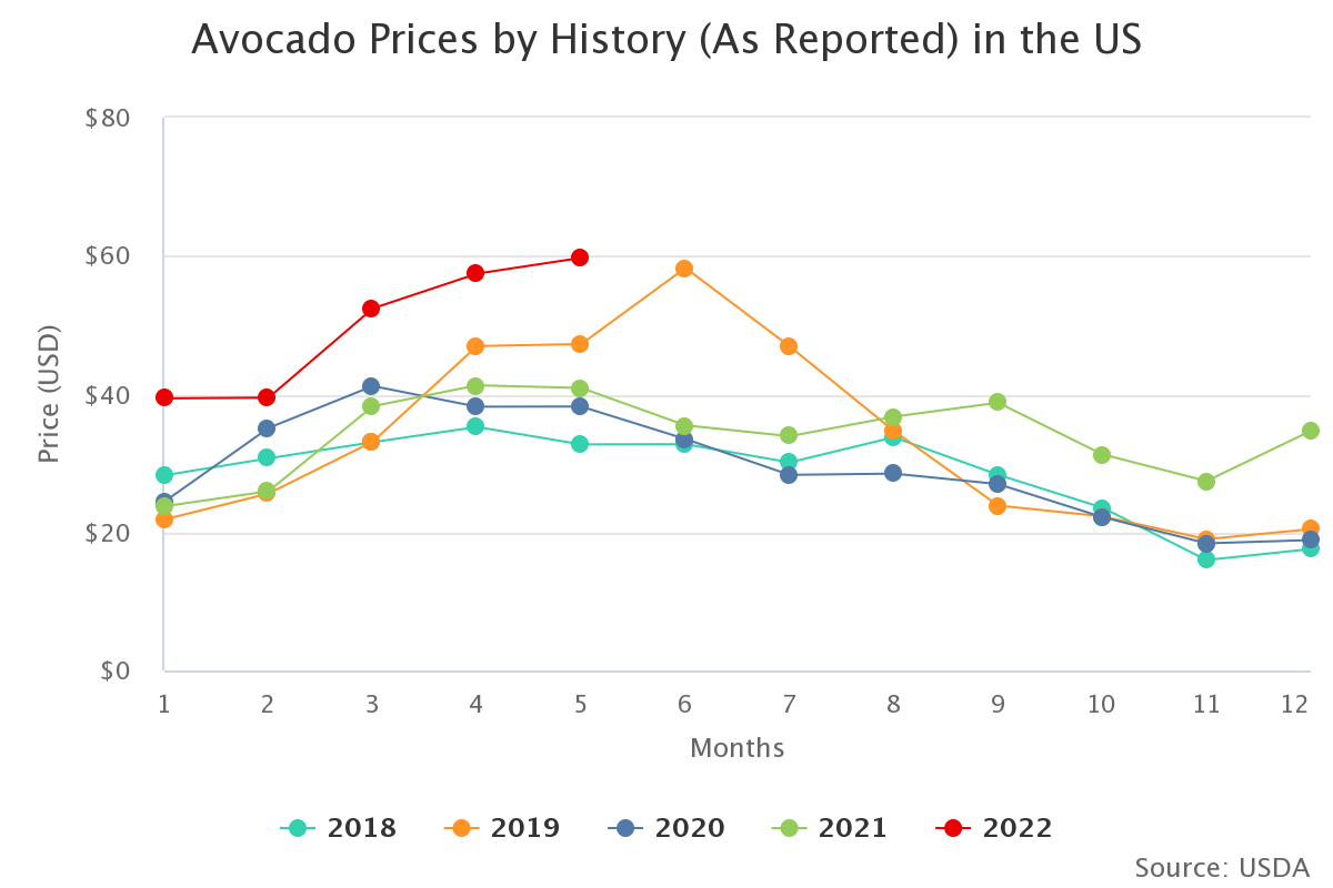 avocado prices by histor 17