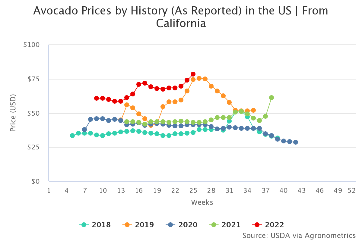 avocado prices by histor 2 1