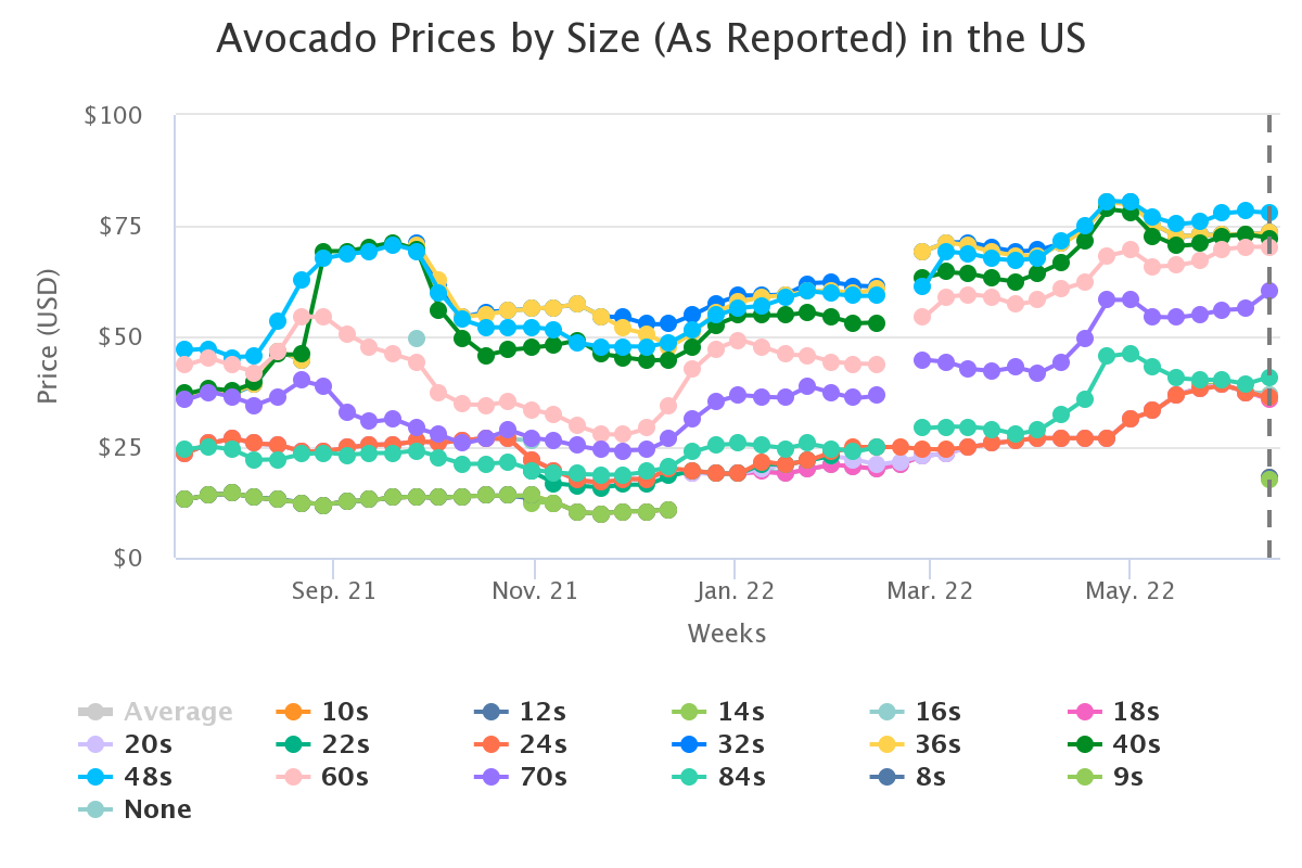 avocado prices by size a 2
