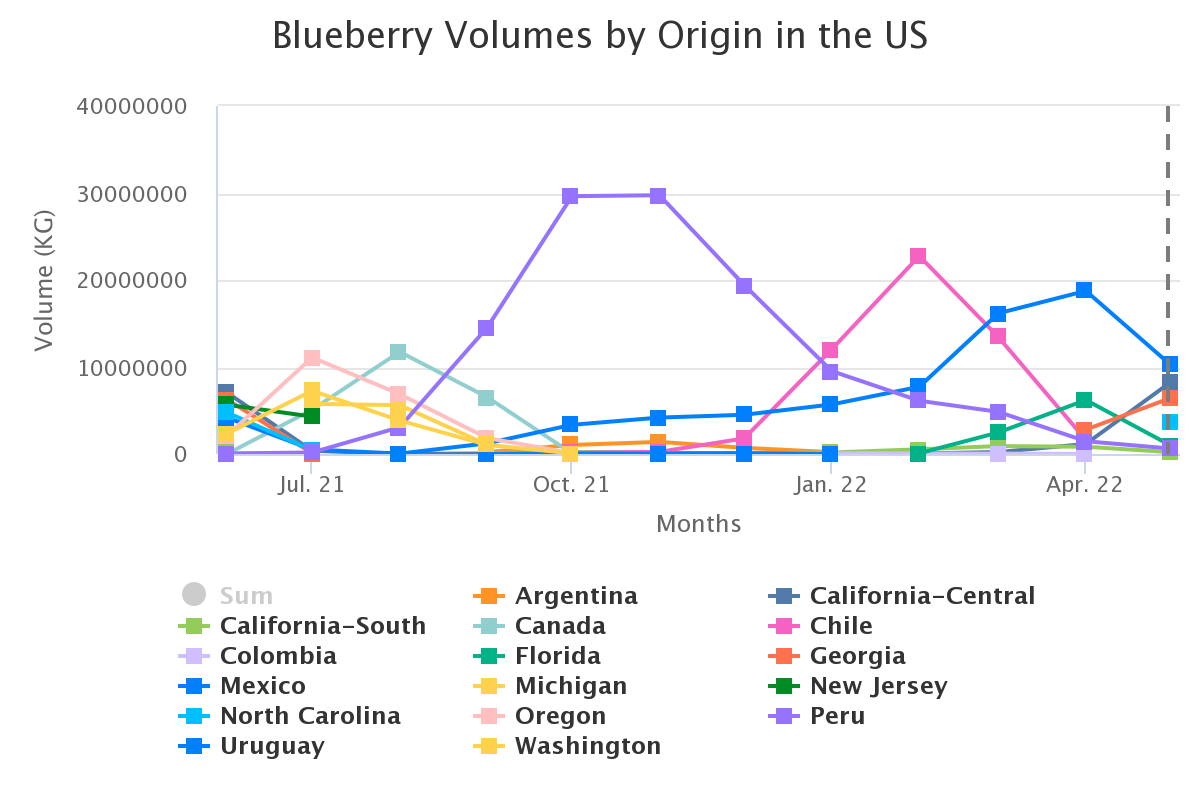blueberry volumes by ori 26