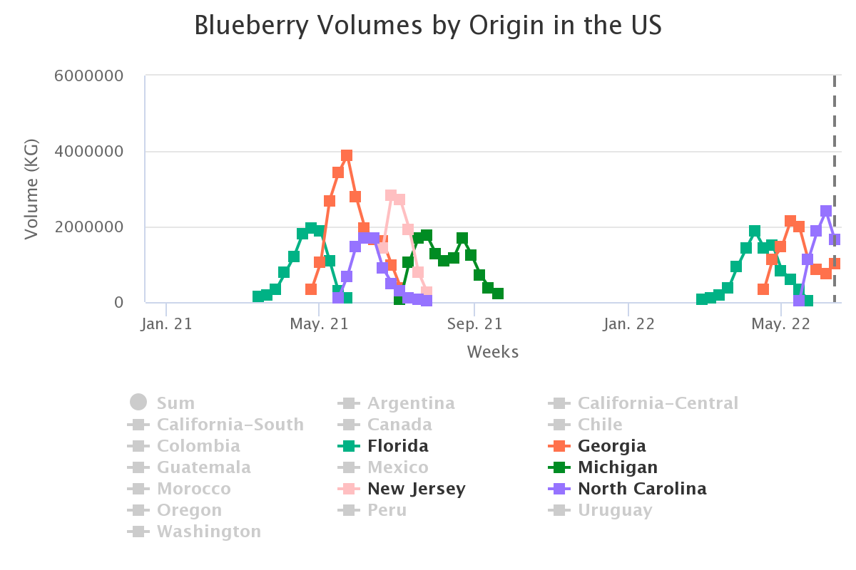 blueberry volumes by ori 28