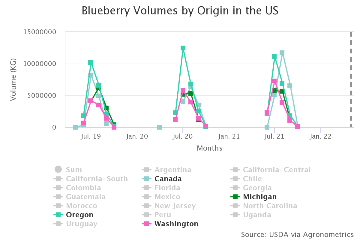 blueberry volumes by ori 30
