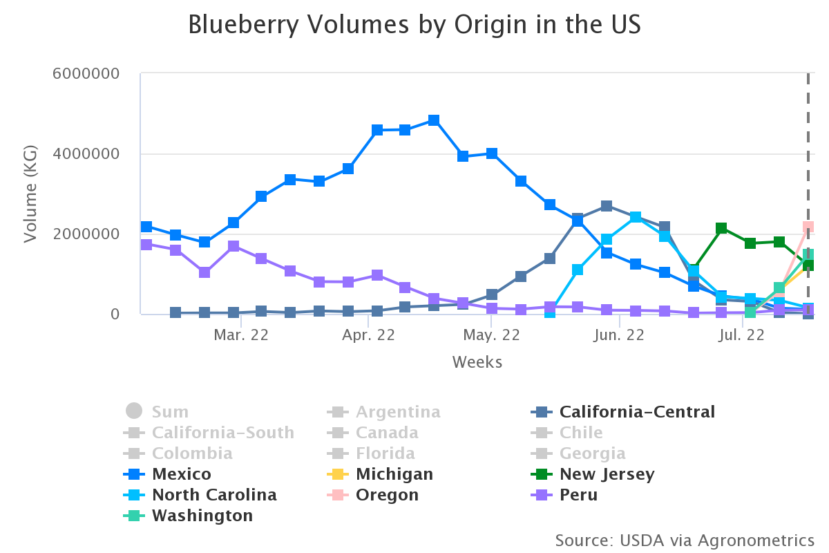 blueberry volumes by ori 35