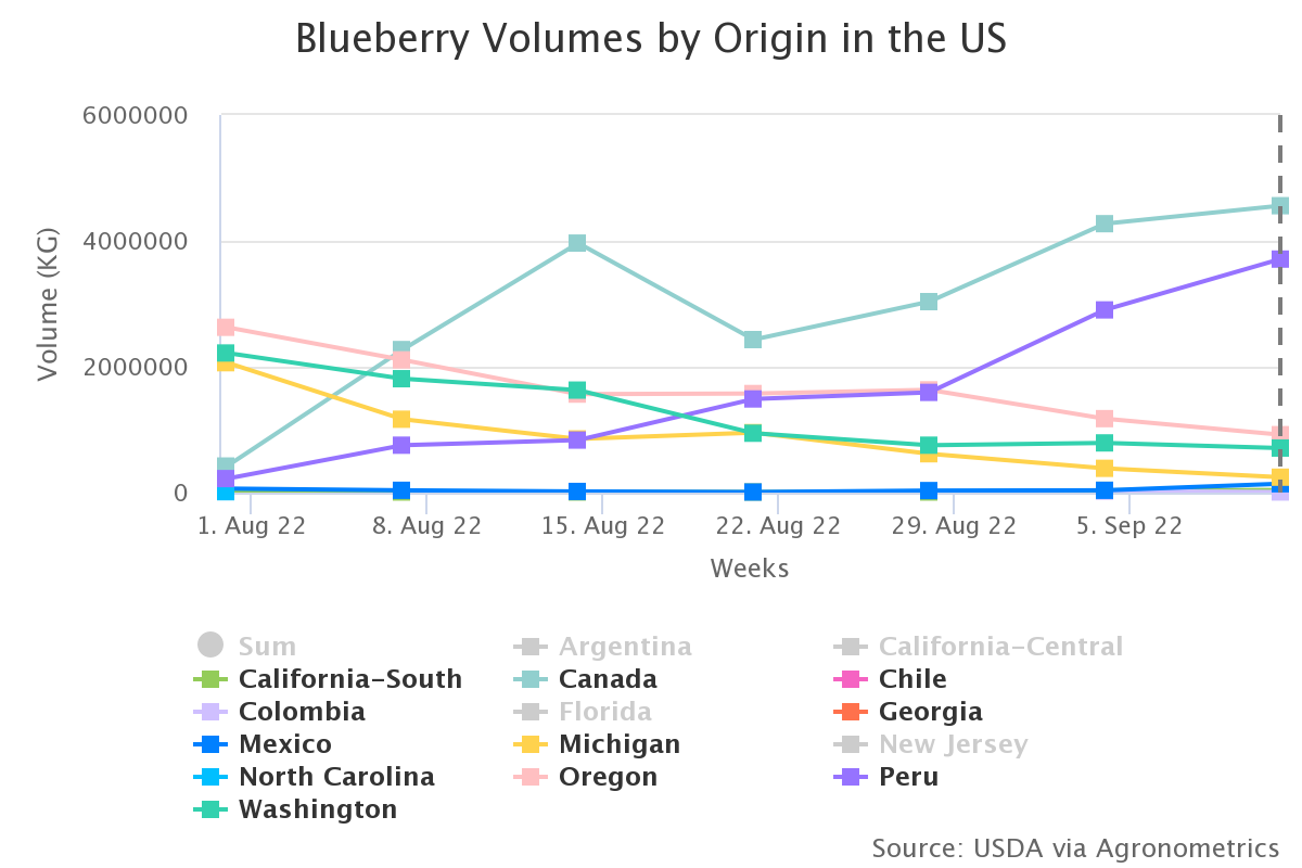 blueberry volumes by ori all