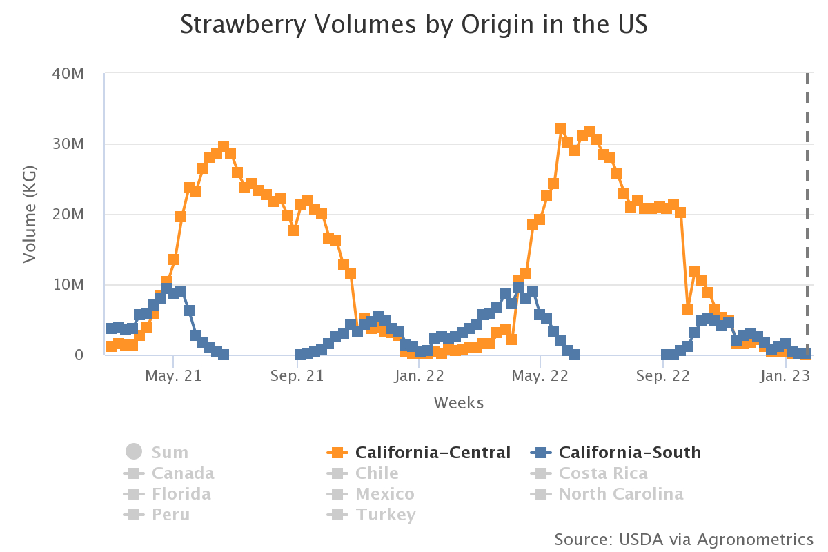 strawberry volumes by or 2