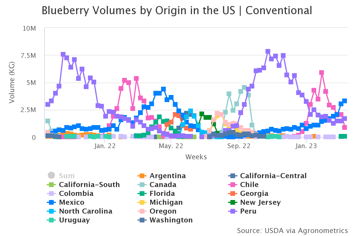 blueberry volumes by ori 1 1